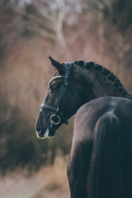 Utzon Equestrian London Bridle