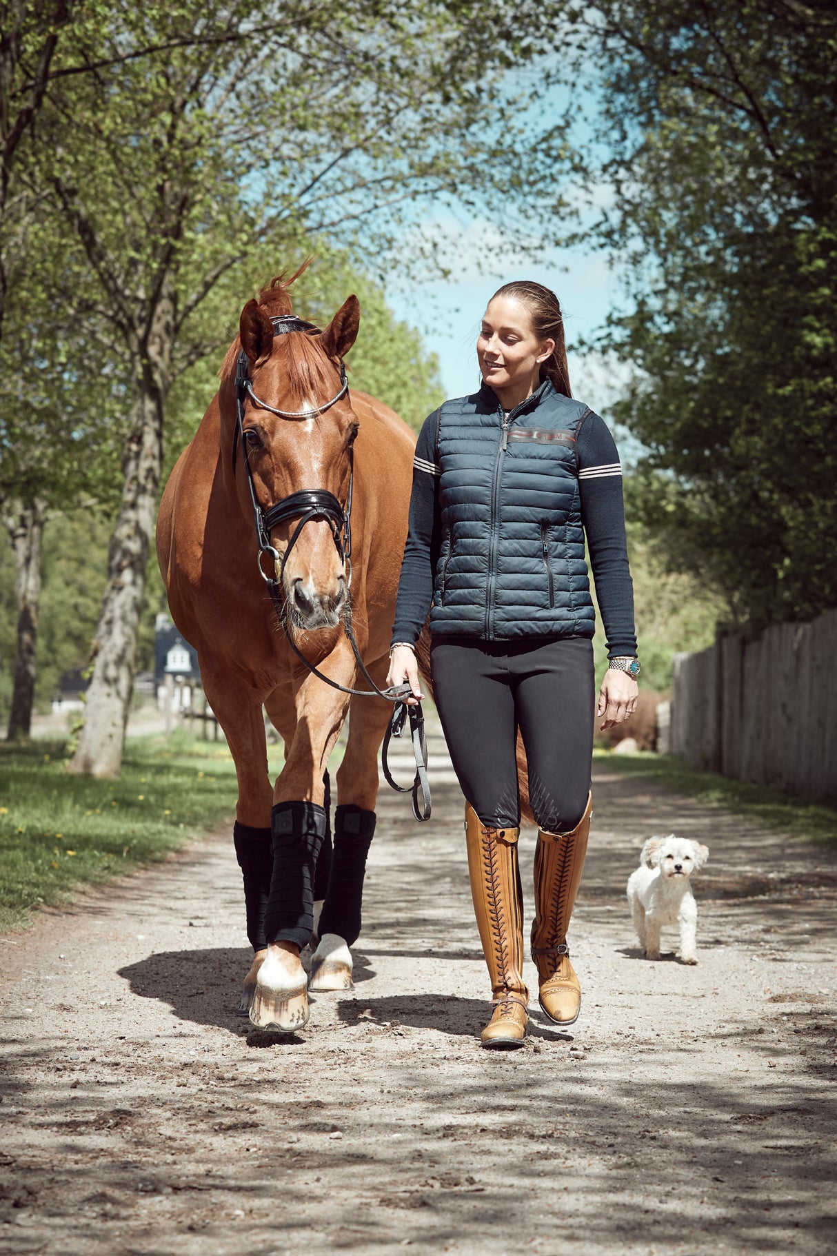 Finesse Cassidy Bridle