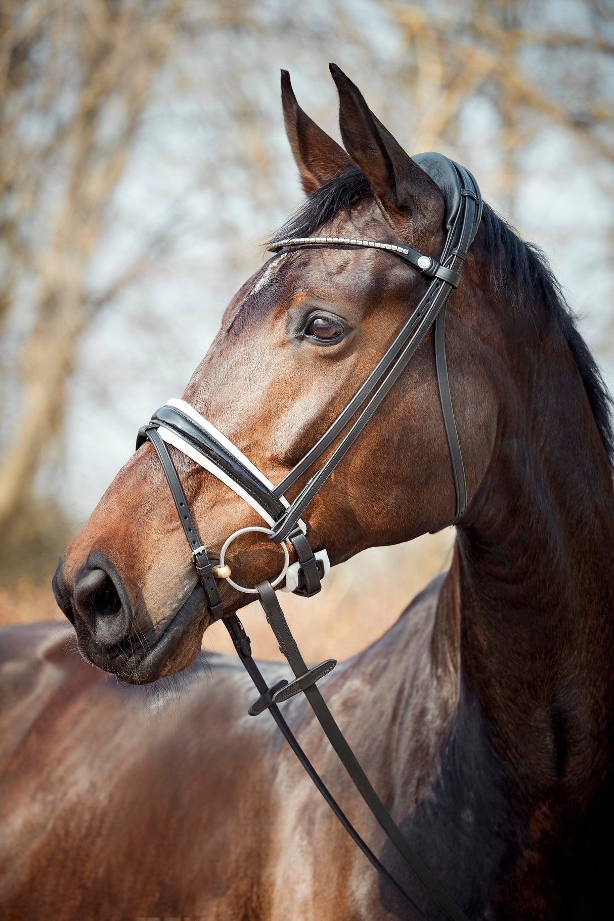 Finesse Cayenne Bridle