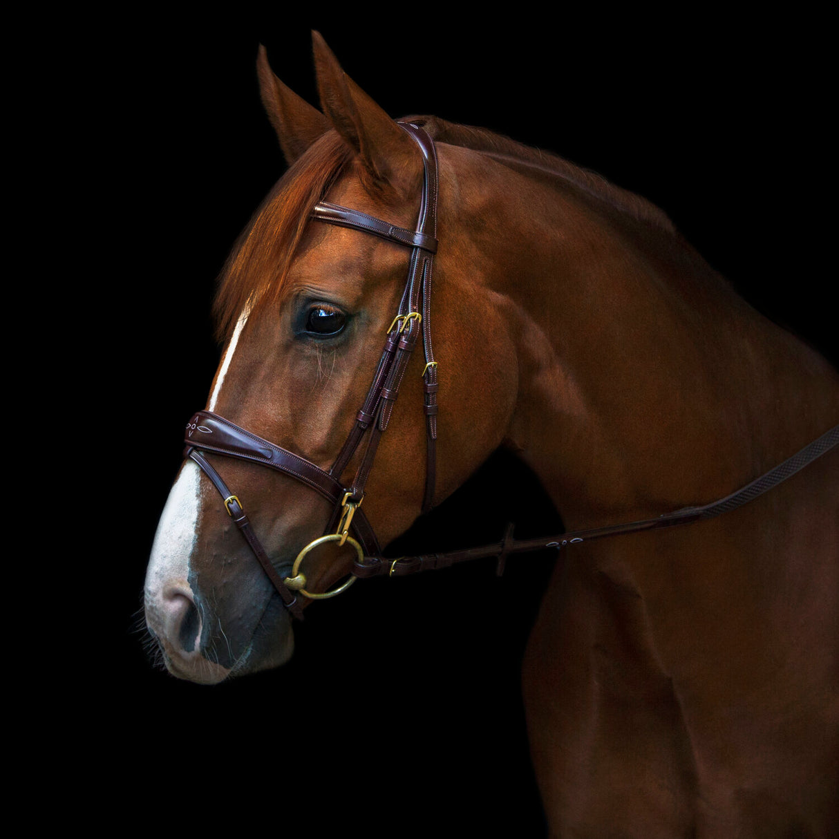 Utzon Equestrian Belmond Bridle