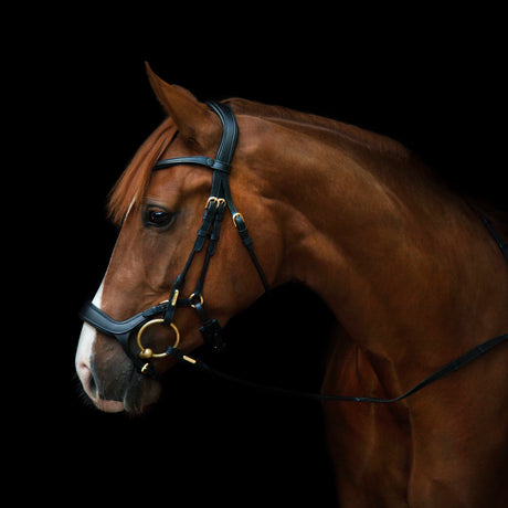 Utzon Equestrian Bristol Bridle