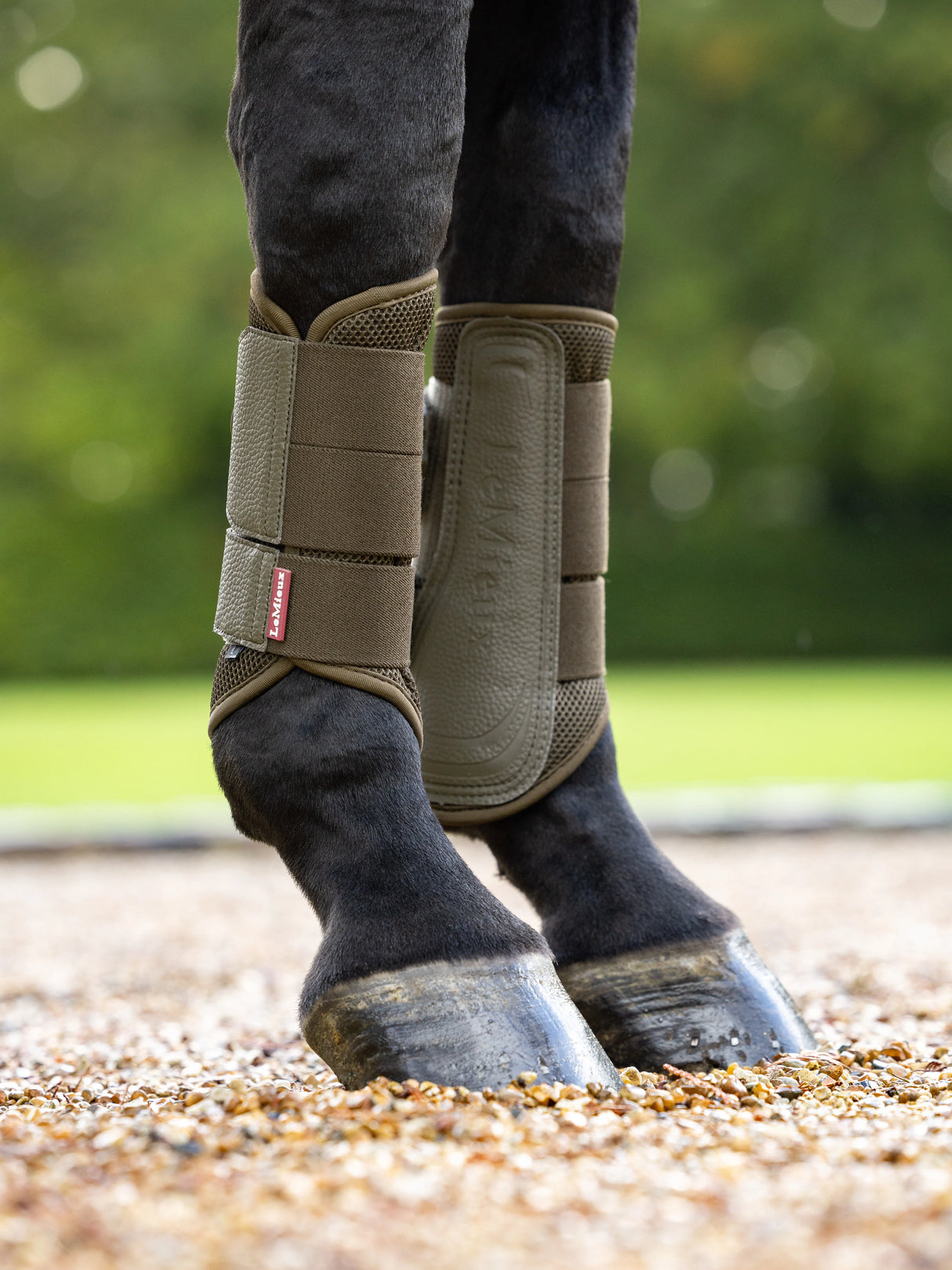 LeMieux Arika Mesh Brushing Boots Alpine