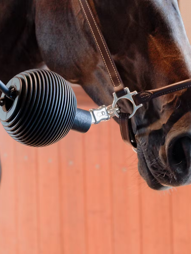 Kentucky Horsewear Lead & Wall Protection Rubber Ball Pro Black