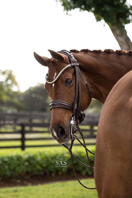 Utzon Equestrian London Double Bridle