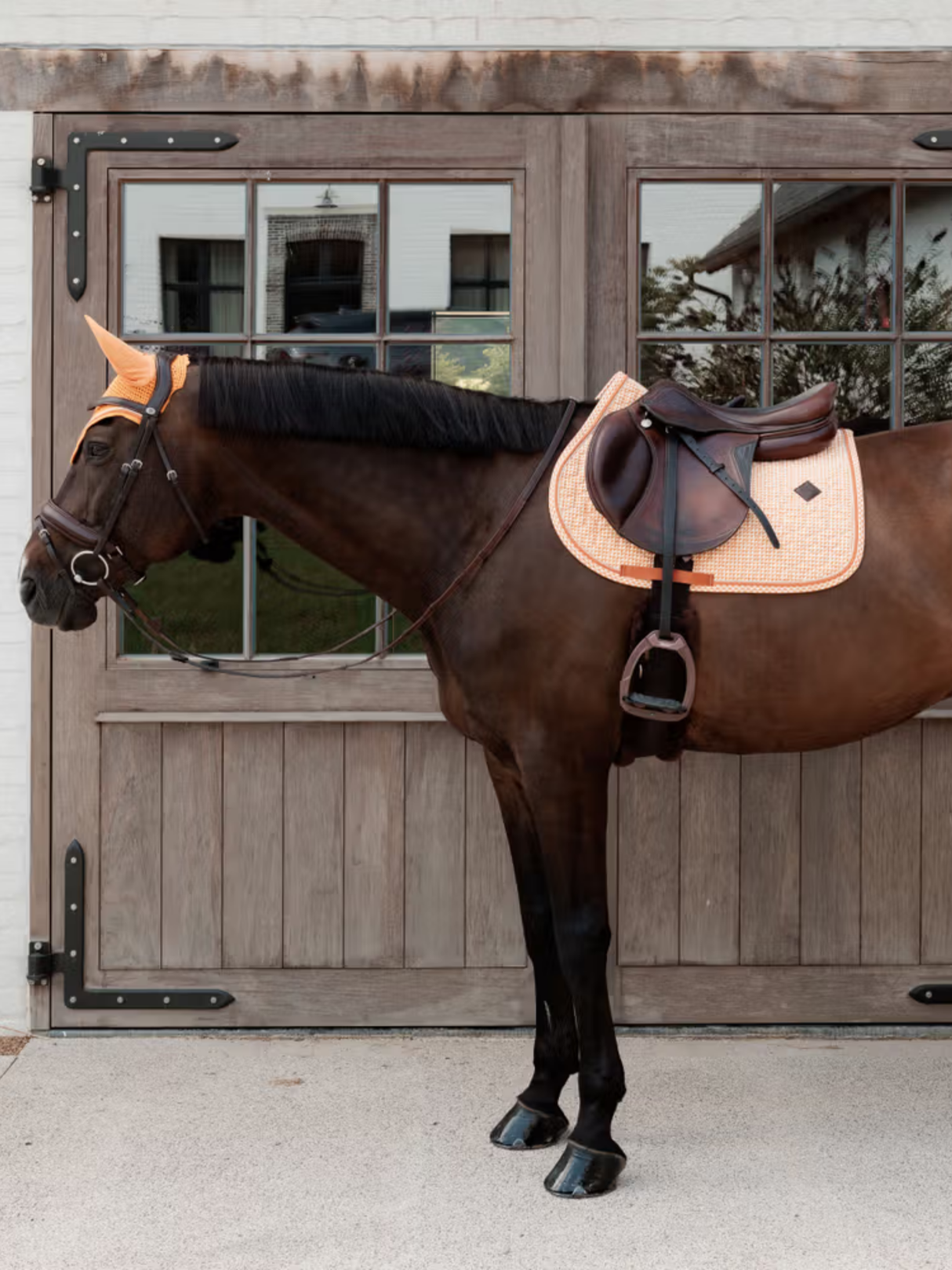Kentucky Velvet Printing Jump Saddle Pad Orange