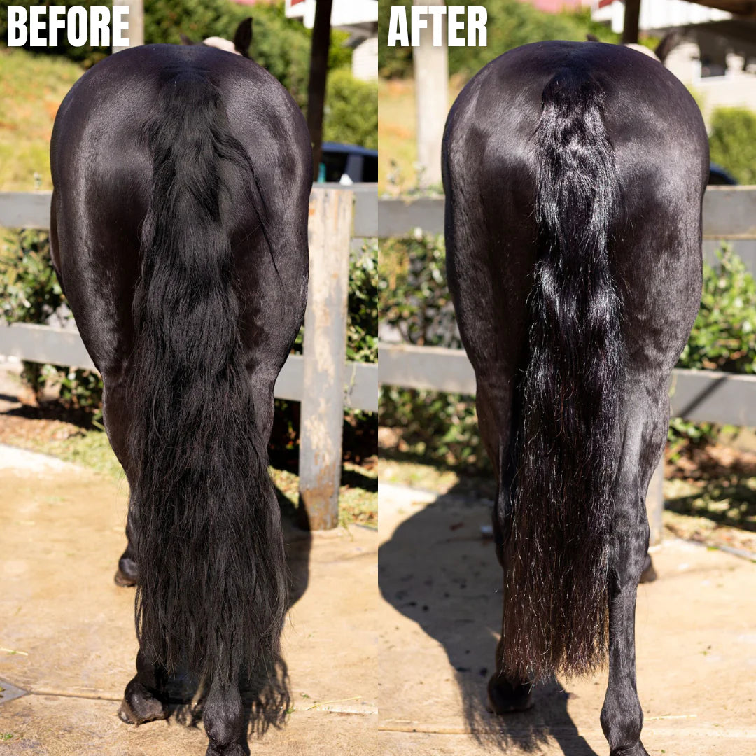 Hairy Pony Terrific Tails Kit