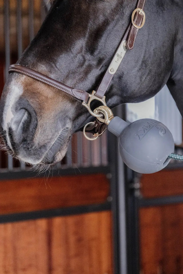 Kentucky Horsewear Rubber Ball Lead & Wall Protection Grey