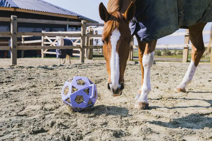 Kentucky Relax Horse Play & Hay Ball Lavender