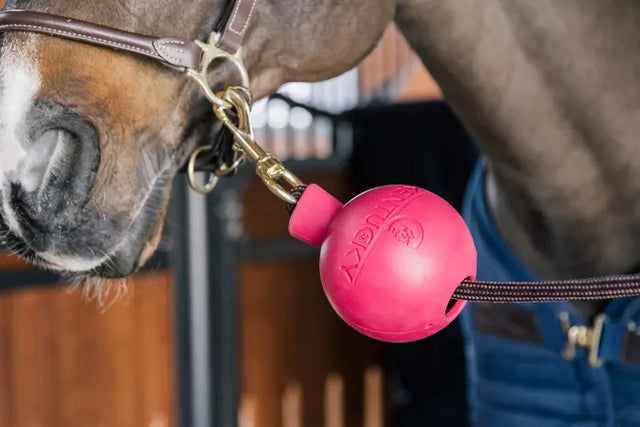 Kentucky Horsewear Rubber Ball Lead & Wall Protection Pink