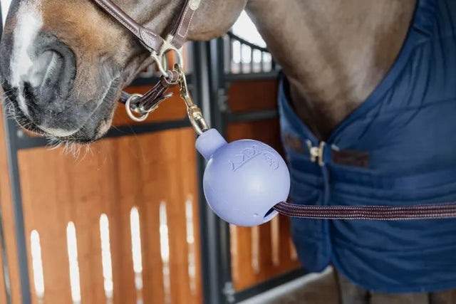 Kentucky Horsewear Rubber Ball Lead & Wall Protection Lavender
