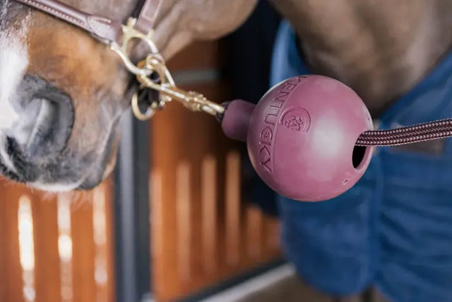 Kentucky Horsewear Rubber Ball Lead & Wall Protection Bordeaux