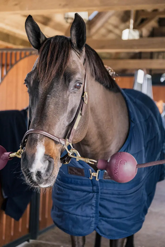 Kentucky Horsewear Rubber Ball Lead & Wall Protection Bordeaux