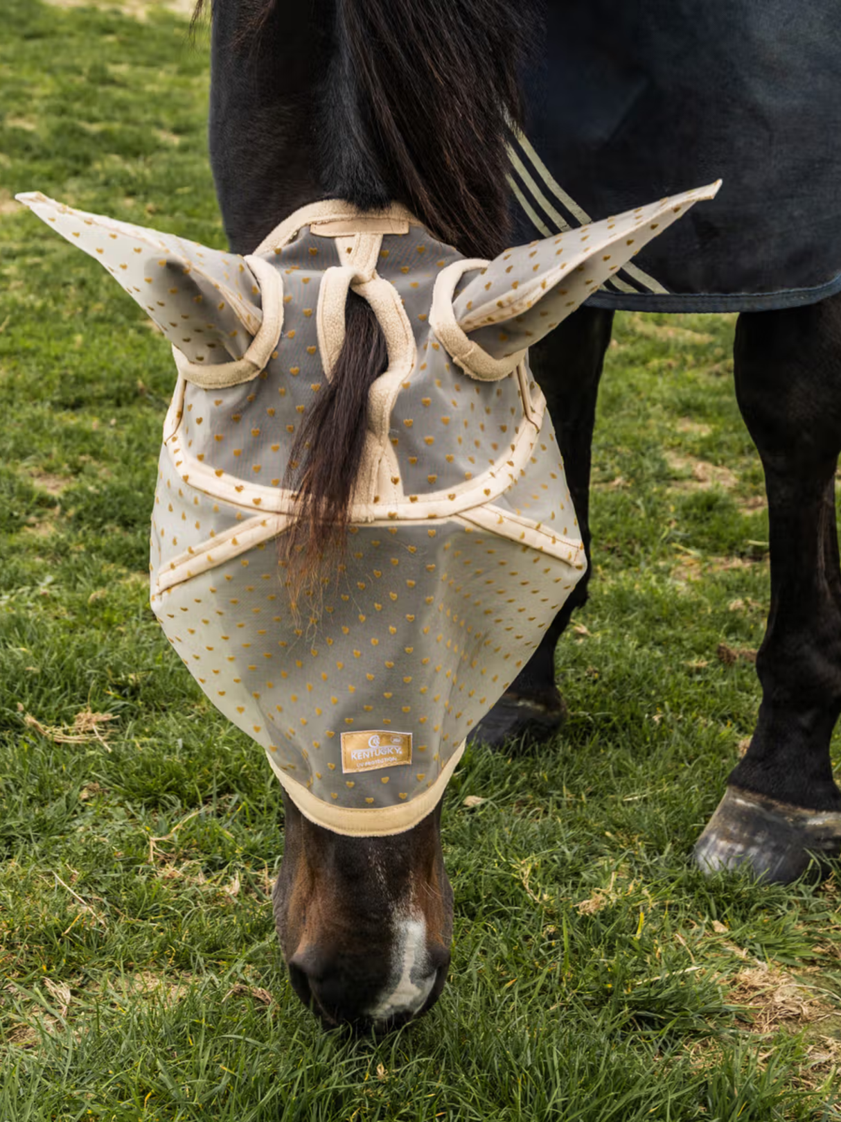 Kentucky Horsewear Fly Mask Heart Beige