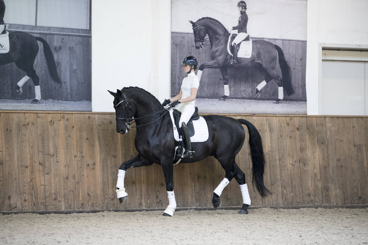 LeMieux Loire Classic Dressage Square Saddle Pad White
