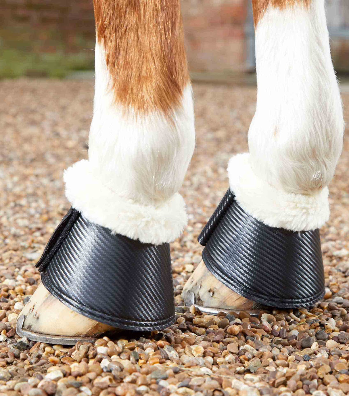 Premier Equine Carbon Tech Techno Wool Over Reach Boots Black