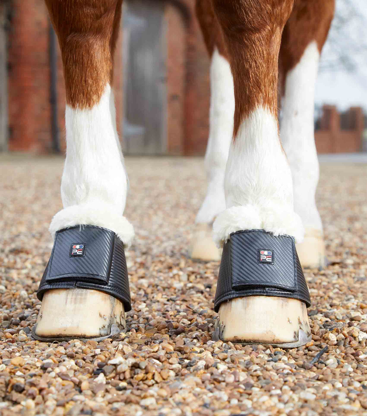 Premier Equine Carbon Tech Techno Wool Over Reach Boots Black
