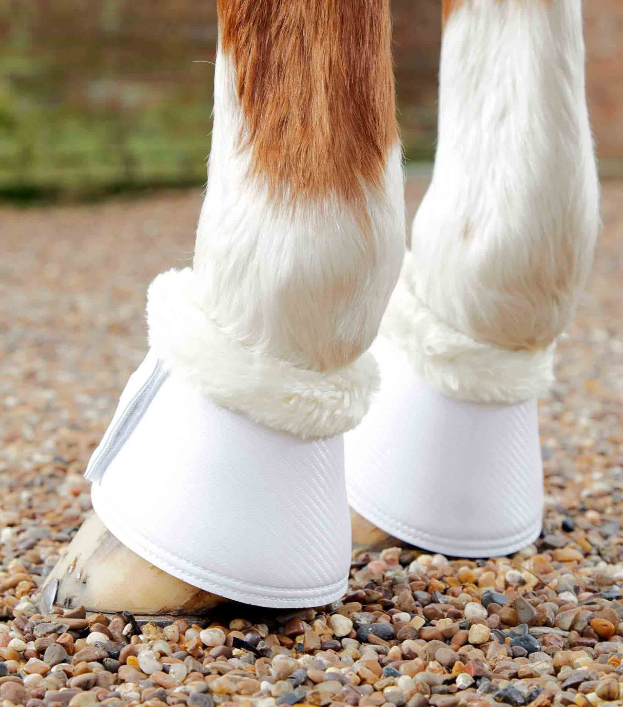 Premier Equine Carbon Tech Techno Wool Over Reach Boots White