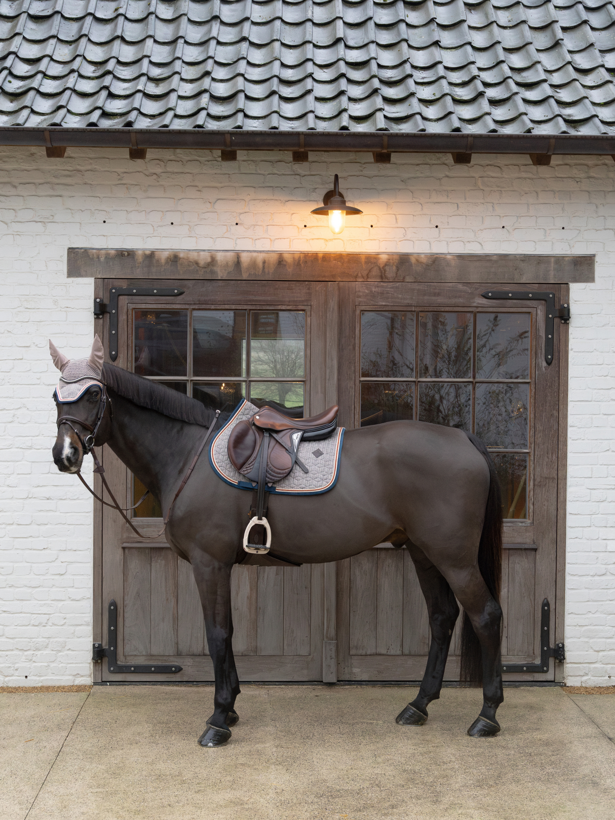 Kentucky Pied-de-Poule Jump Saddle Pad Bordeaux/Navy