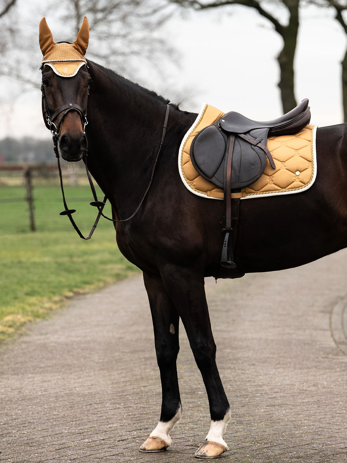 PS of Sweden Signature Jump Saddle Pad Golden