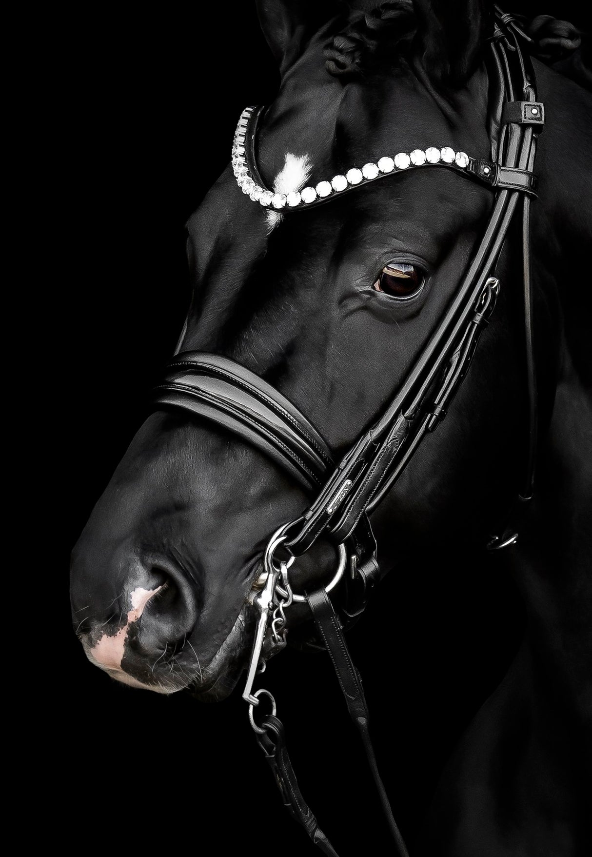 Utzon Edinburgh Bridle Crystal Edition