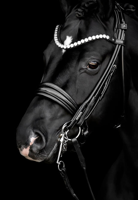 Utzon Edinburgh Bridle Crystal Edition