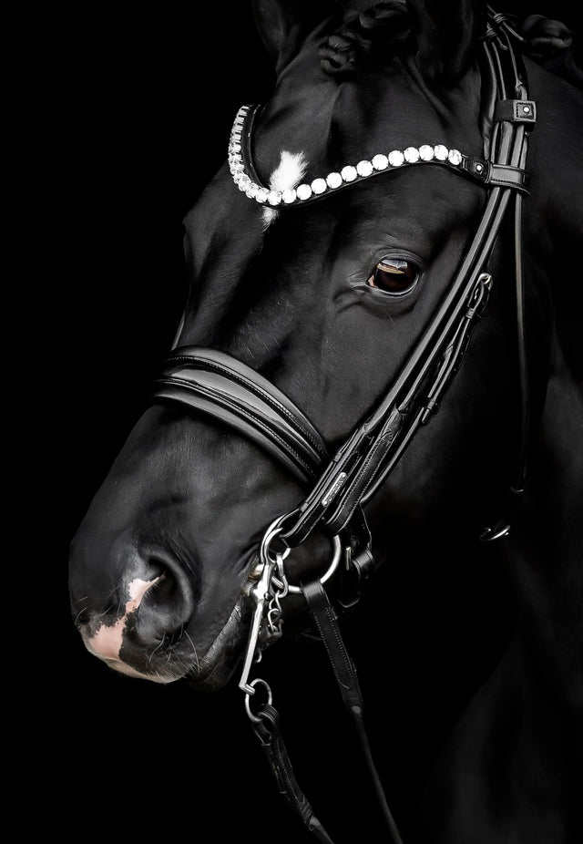 Utzon Edinburgh Bridle Crystal Edition
