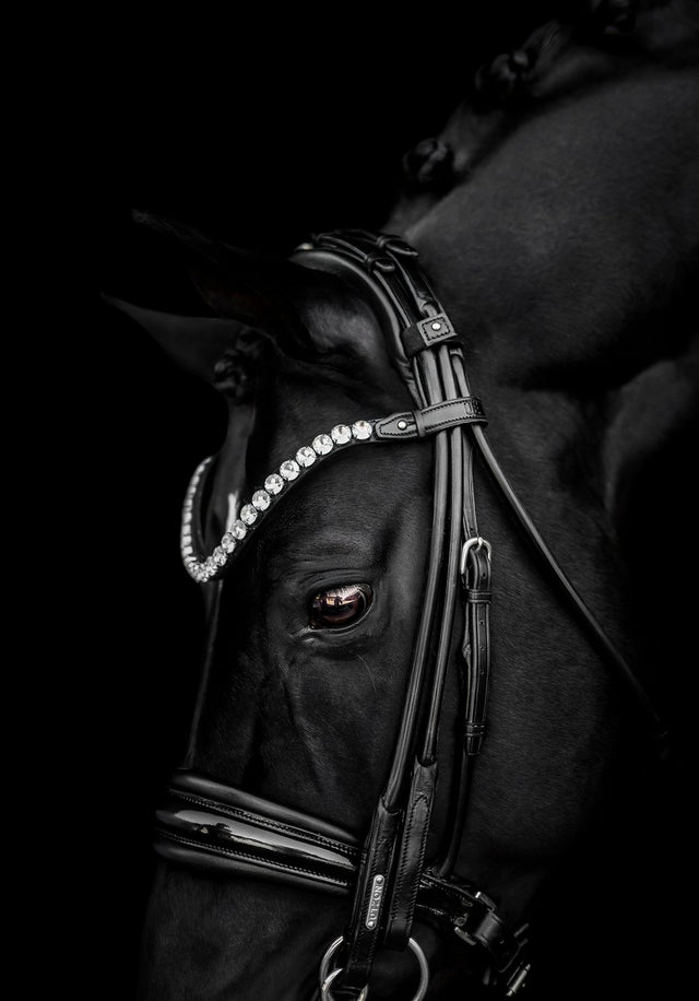 Utzon Equestrian Empire Browband Clear