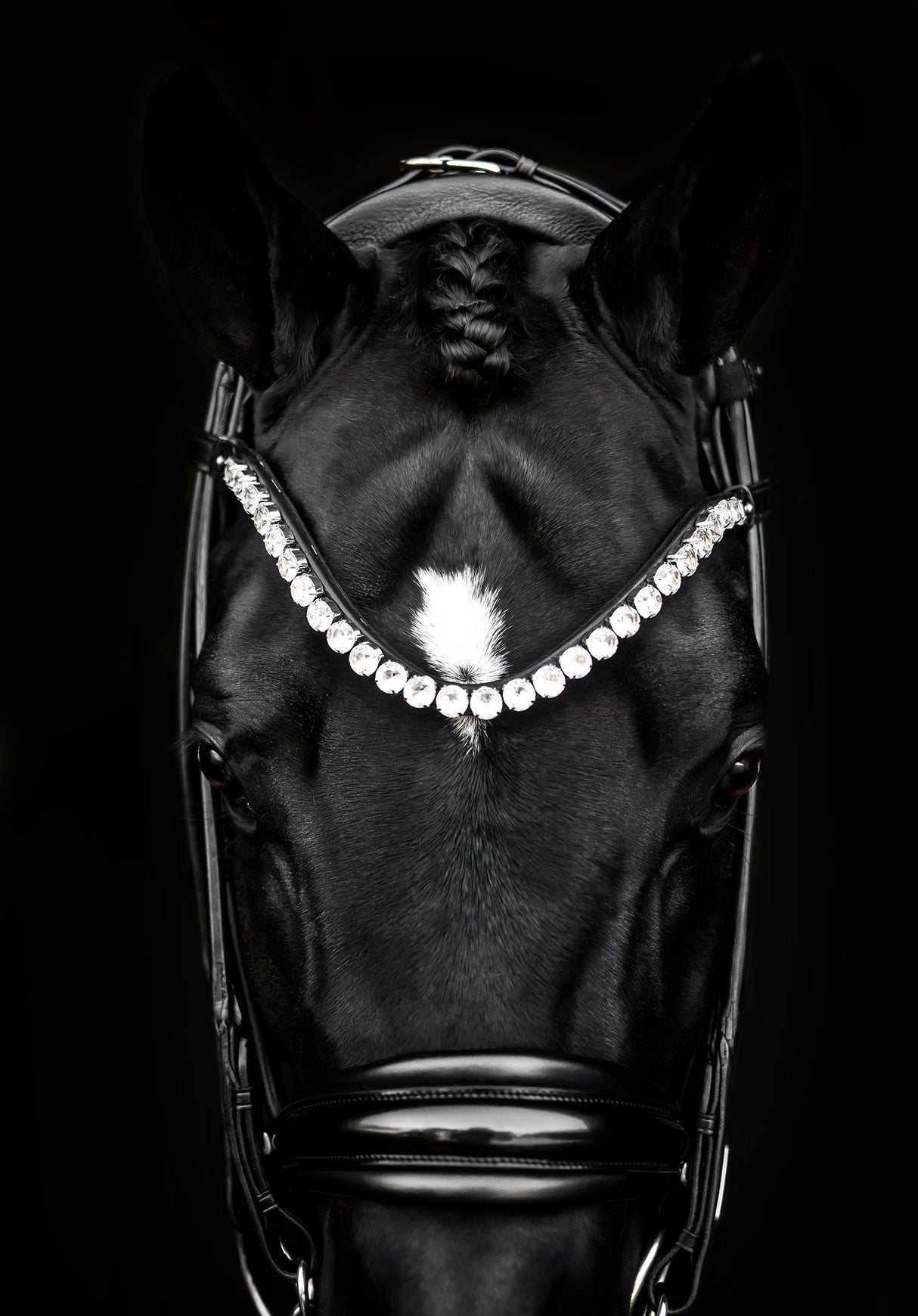 Utzon Edinburgh Bridle Crystal Edition