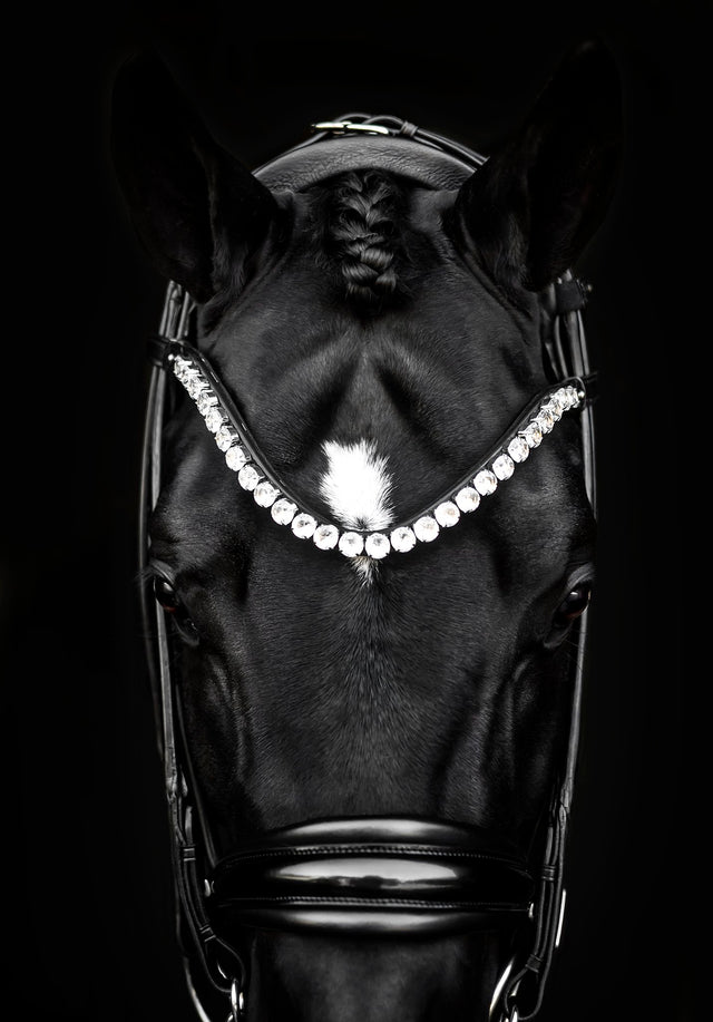 Utzon Edinburgh Bridle Crystal Edition