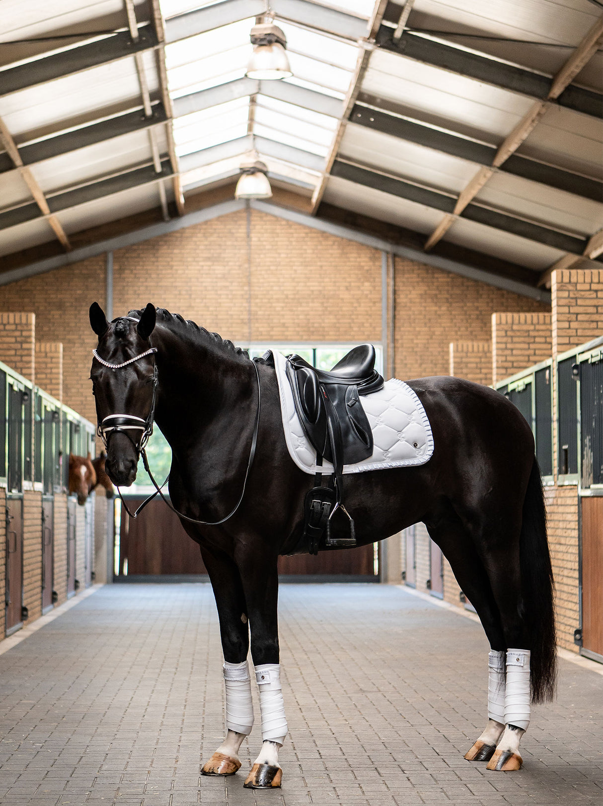 PS of Sweden Ruffle Dressage Saddle Pad White
