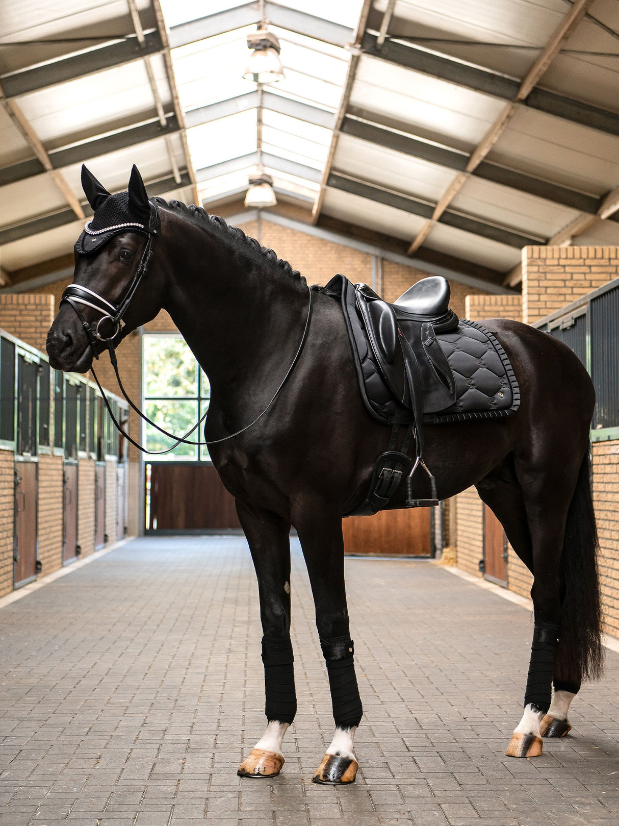 PS of Sweden Ruffle Dressage Saddle Pad Black