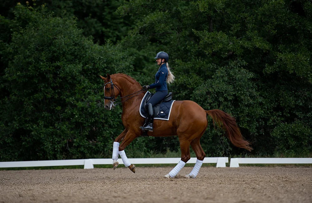 Equestrian Stockholm Dressage Saddle Pad Midnight White Edge