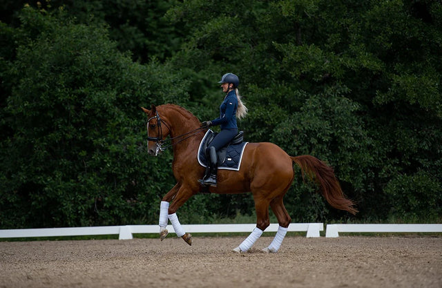 Equestrian Stockholm Dressage Saddle Pad Midnight White Edge