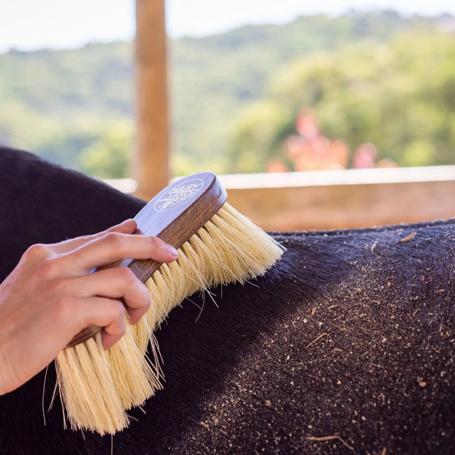 Hairy Pony Flick Brush