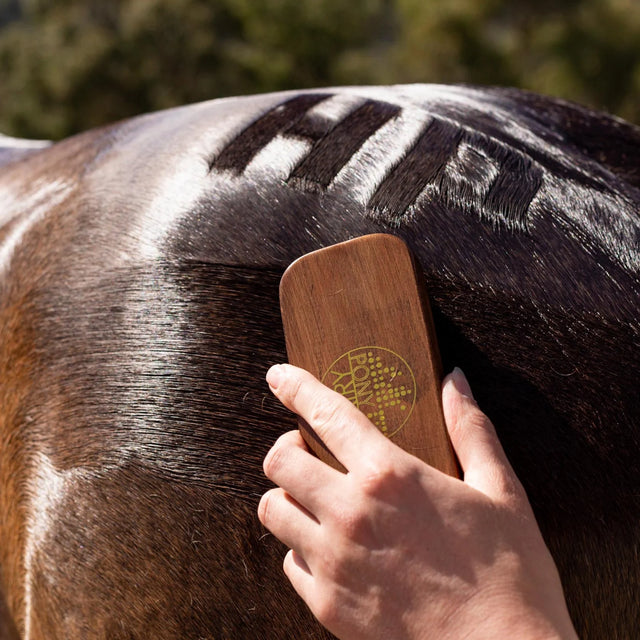 Hairy Pony Quarter Mark Brush