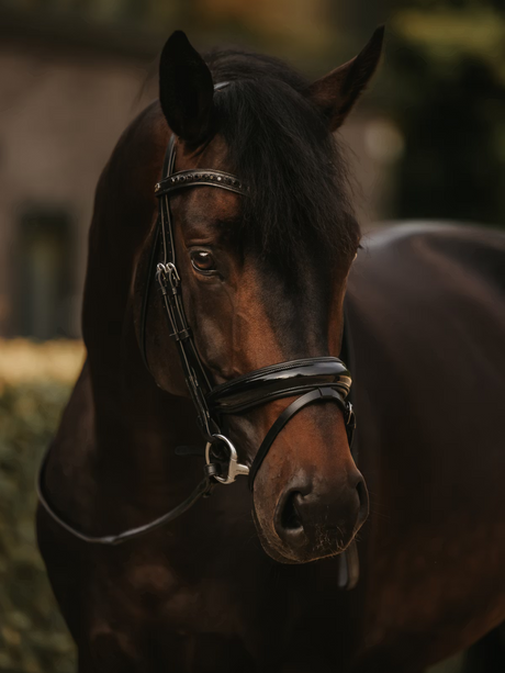 Dy'on Patent Large Crank Noseband Bridle With Flash
