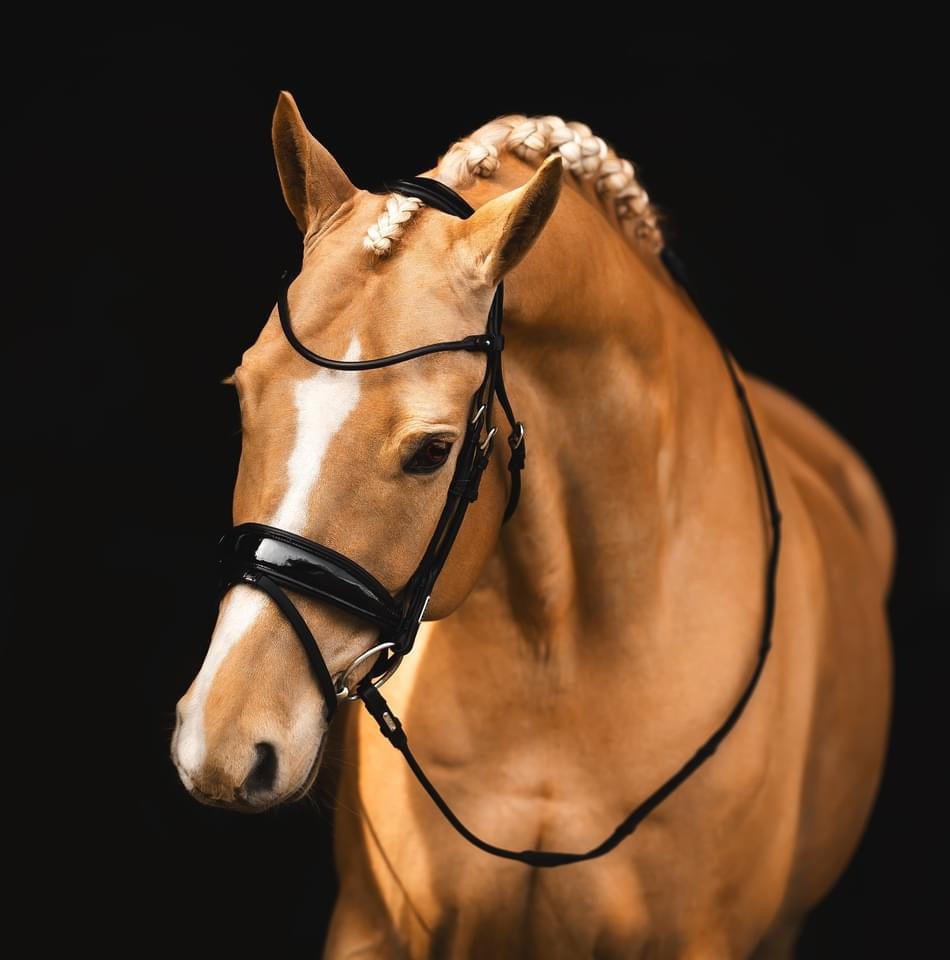 Utzon Equestrian Copenhagen Bridle