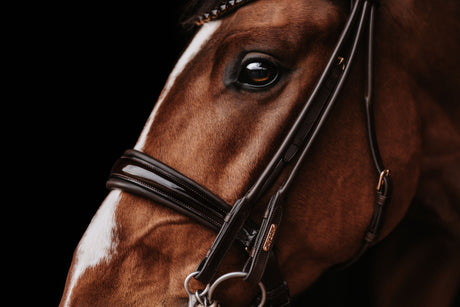 Utzon Equestrian Edinburgh Double Bridle