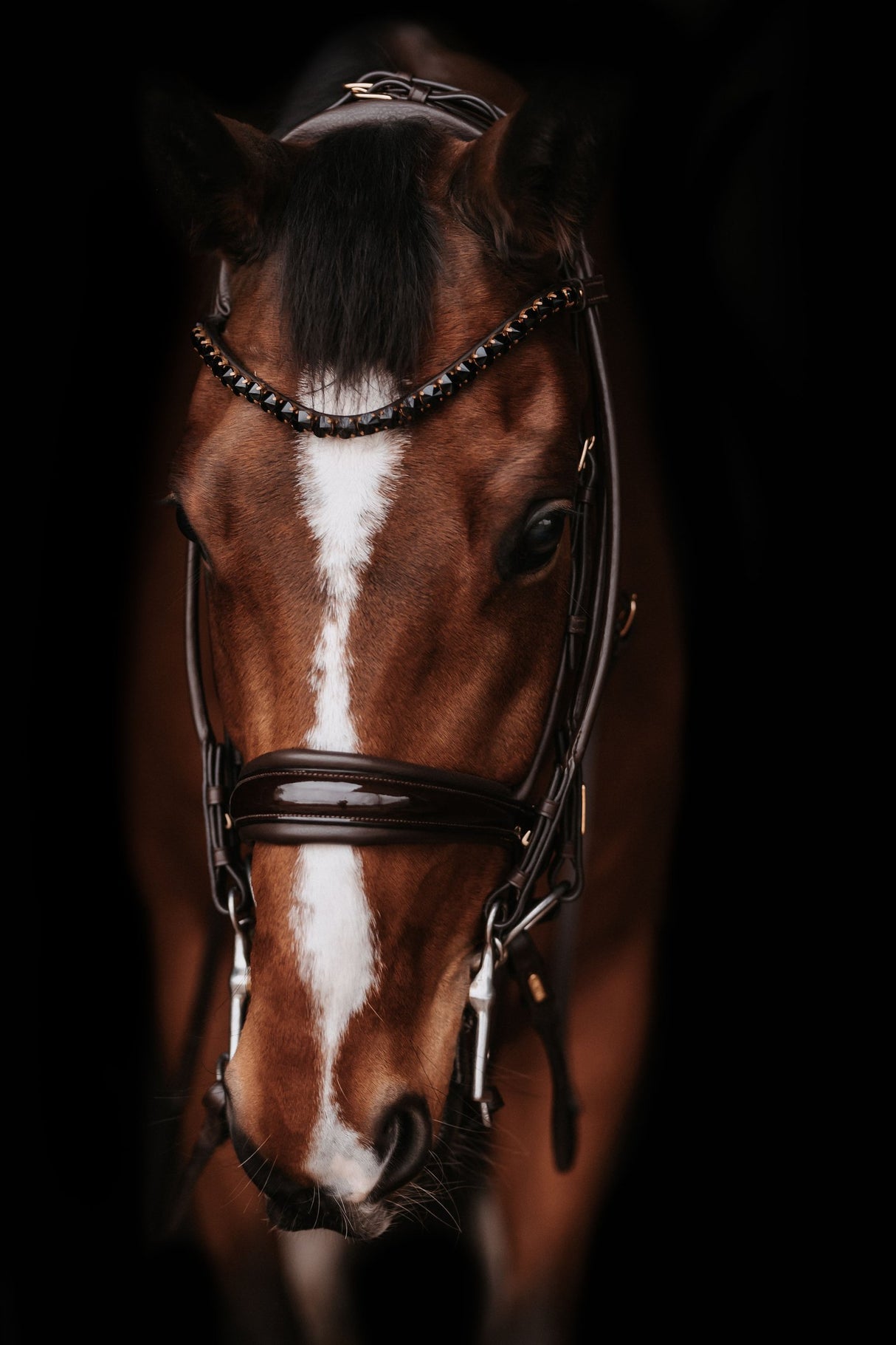 Utzon Equestrian Edinburgh Double Bridle