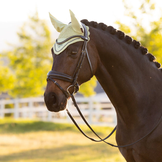 LeMieux Classic Fly Hood Macaron