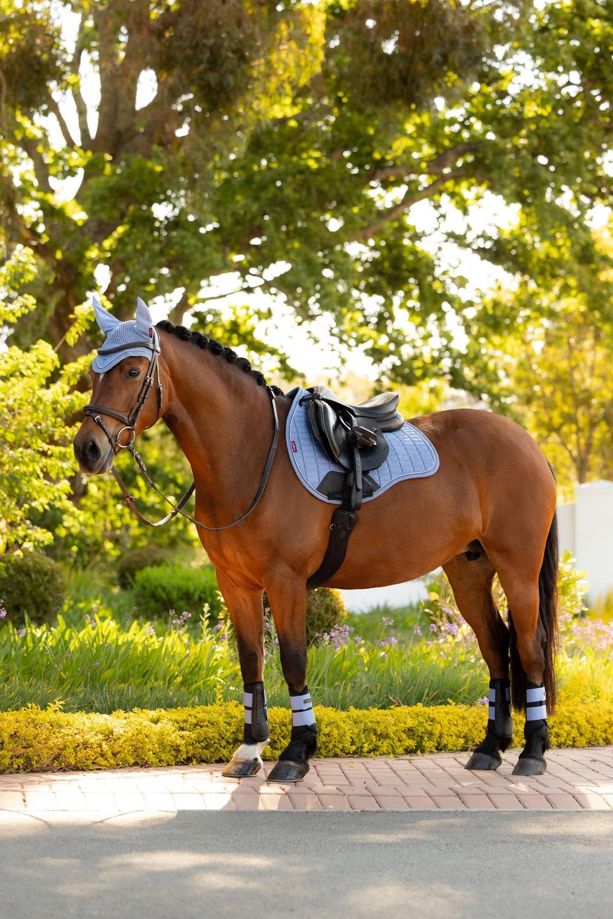 LeMieux Suede GP Saddle Pad Powder Blue