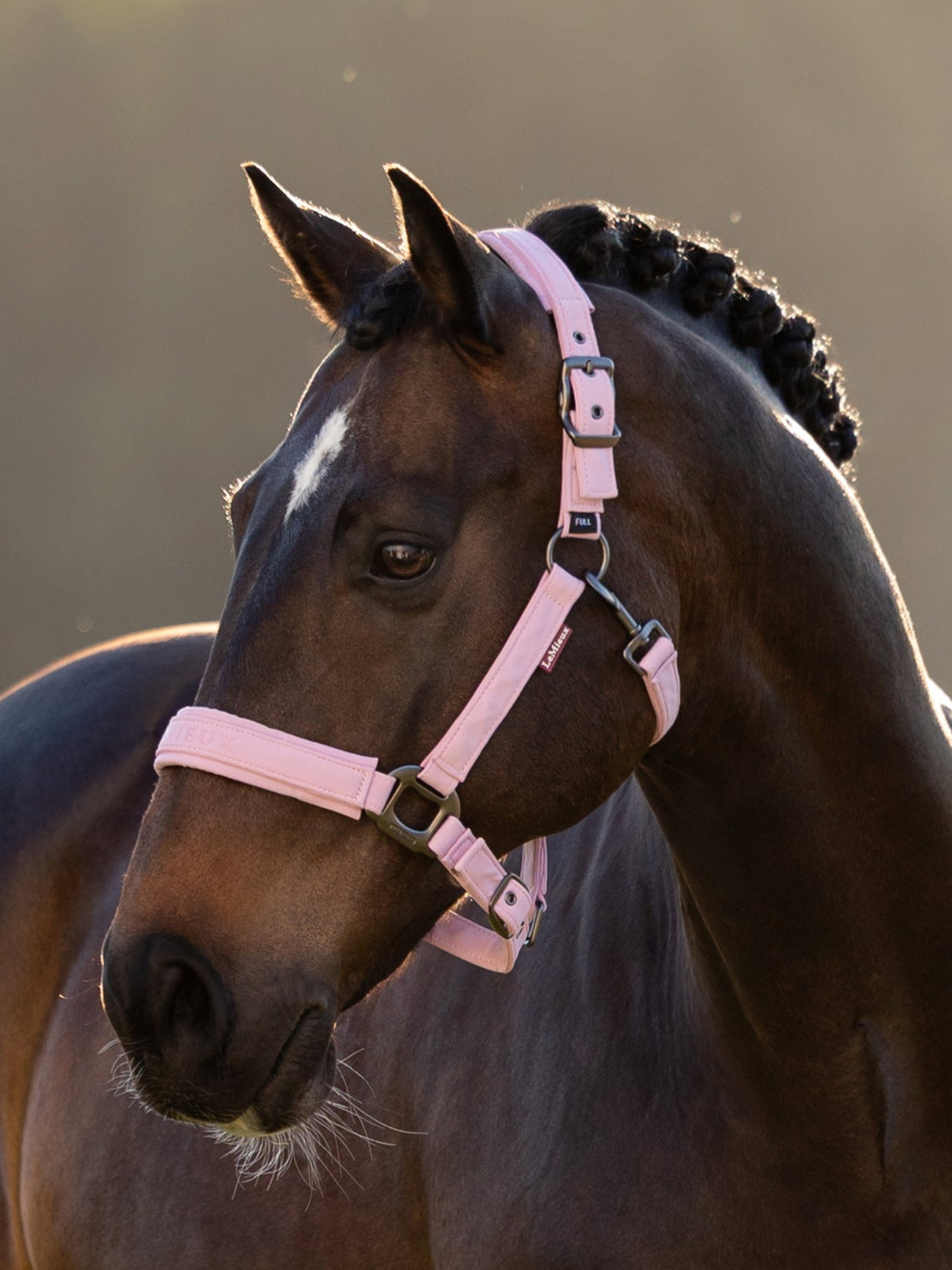 LeMieux Essence Headcollar Fondant