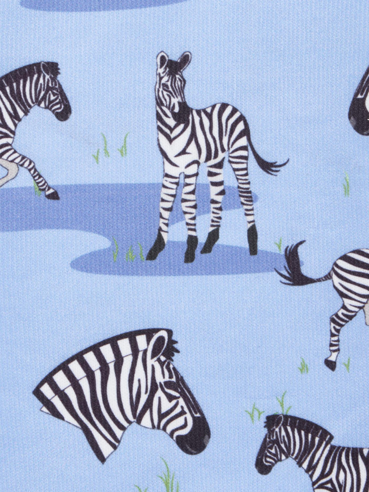 LeMieux Footsie Socks Zebra