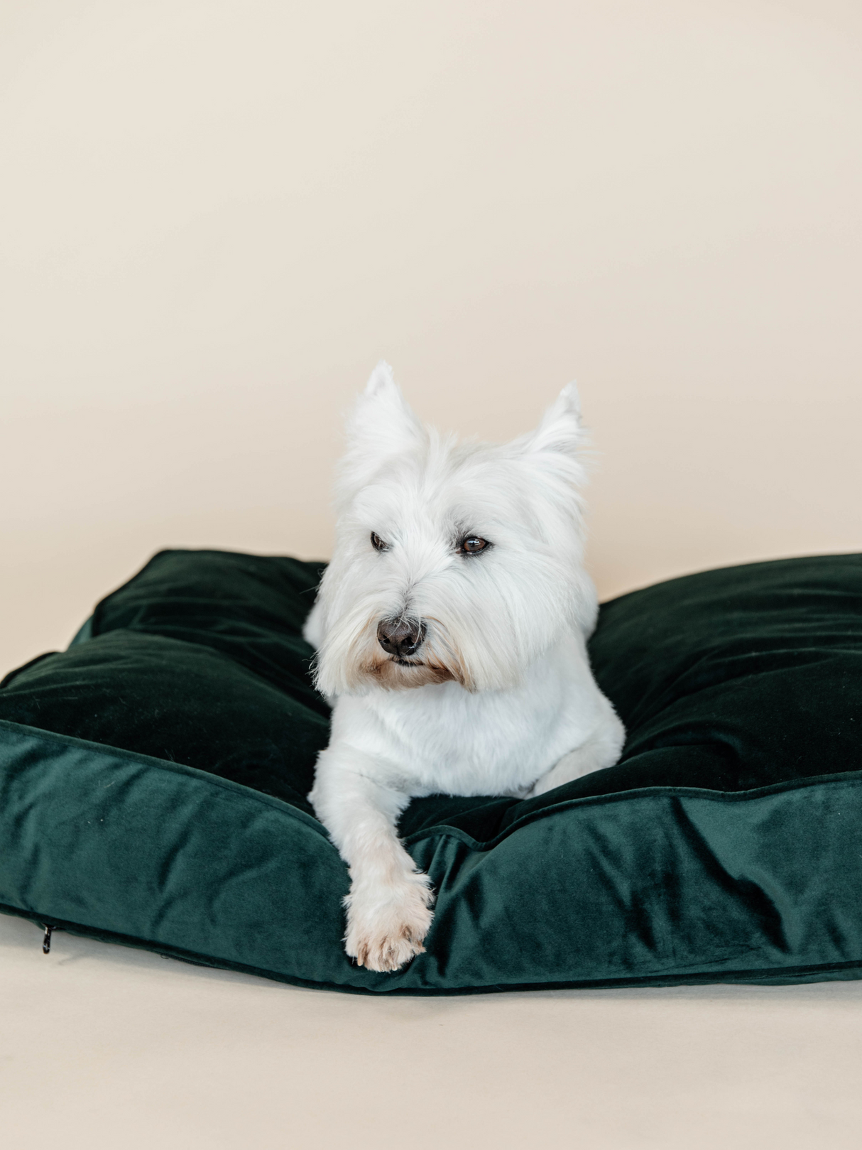 Kentucky Velvet Dog Bed Pillow Pine Green