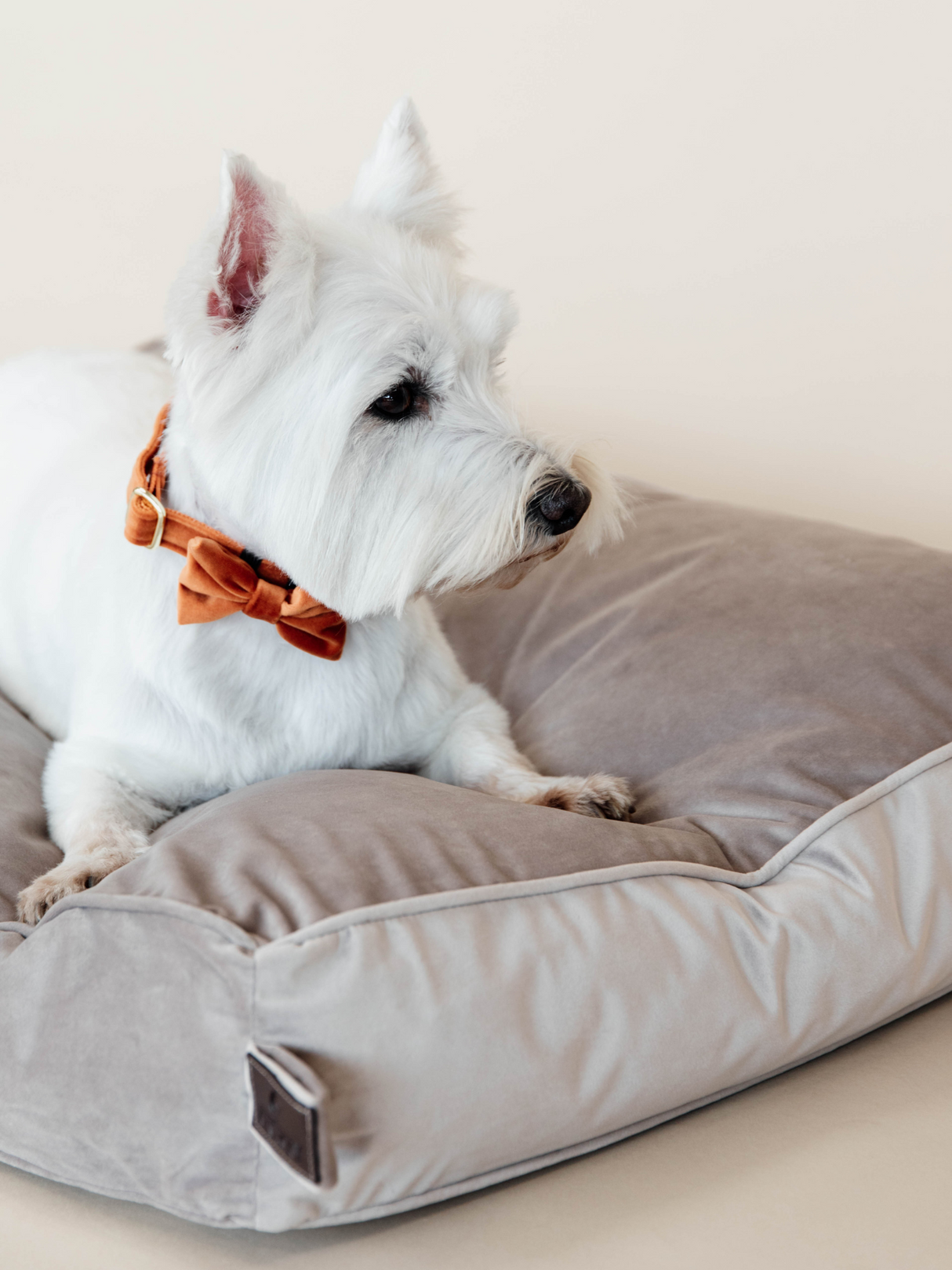 Kentucky Velvet Dog Bed Pillow Beige