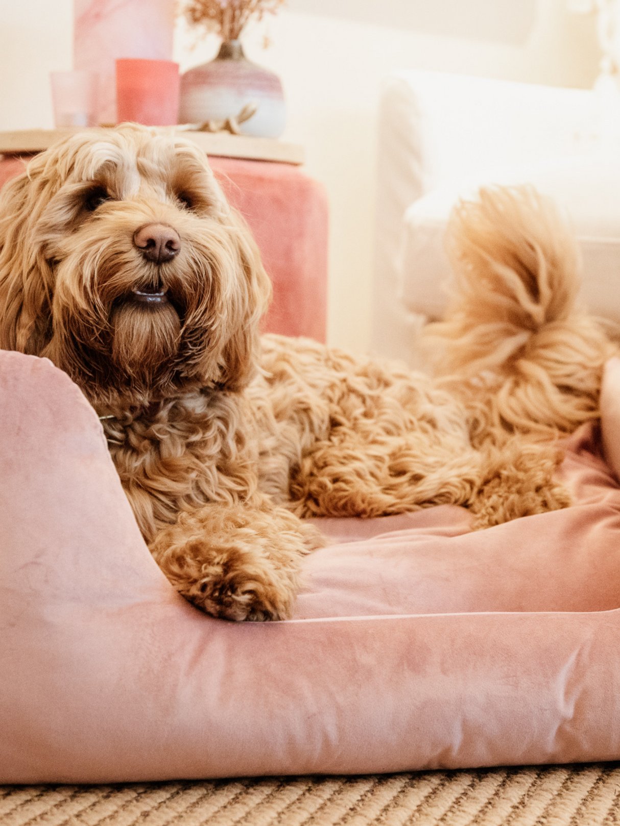 Kentucky Velvet Dog Bed Old Rose