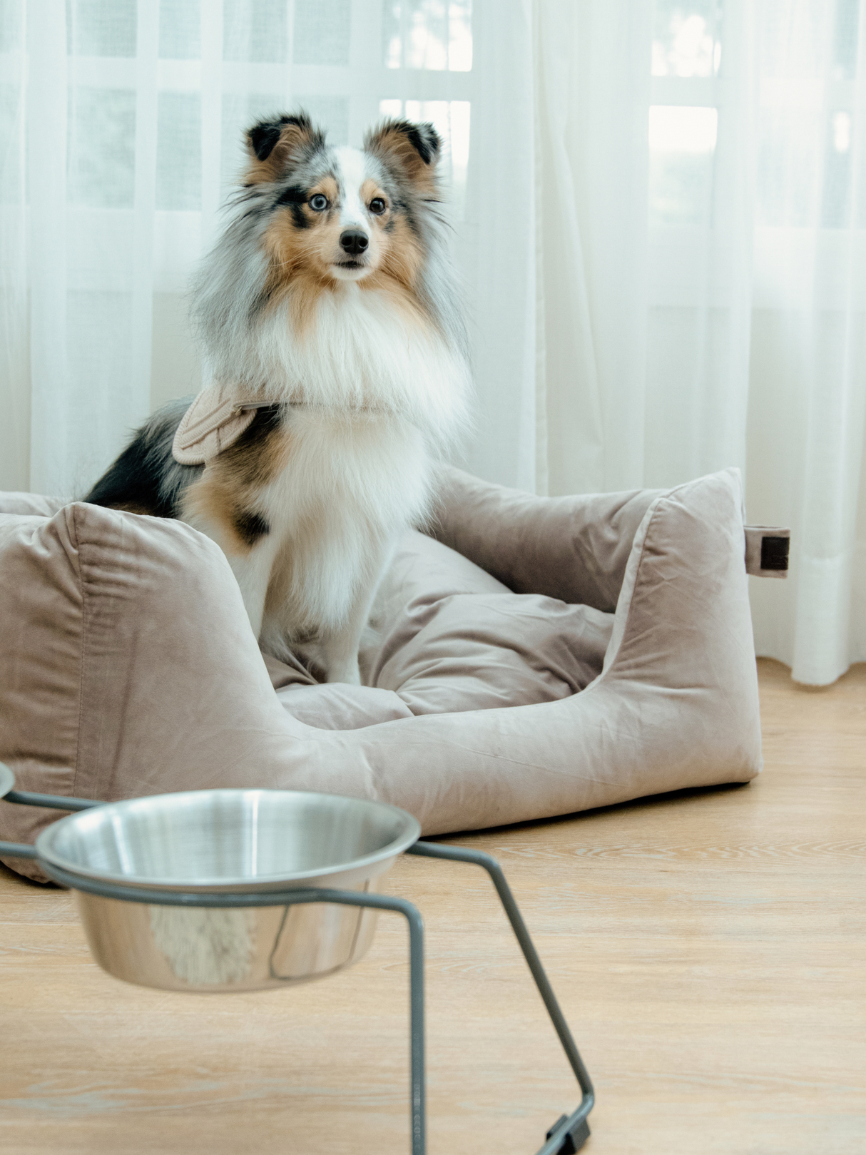 Kentucky Velvet Dog Bed Beige