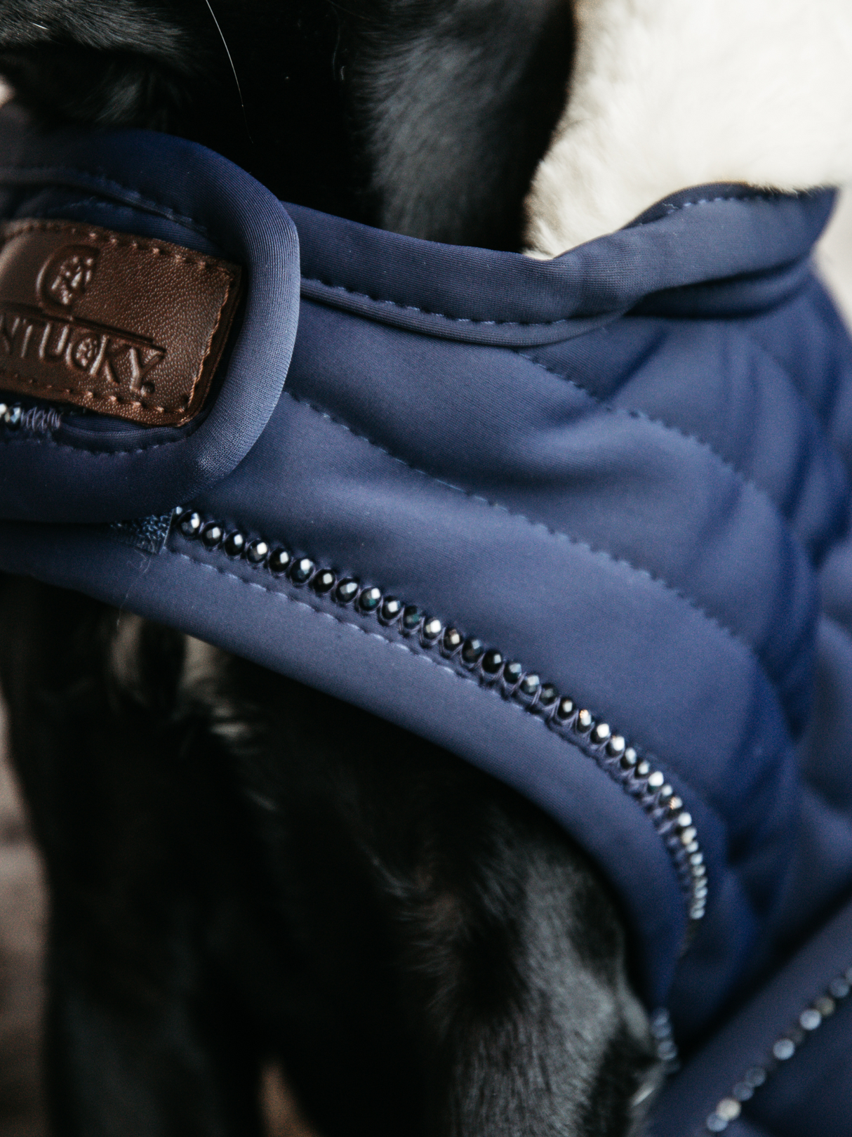 Kentucky Pearls Dog Coat Navy
