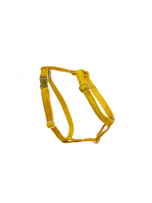 Kentucky Dog Velvet Harness Mustard