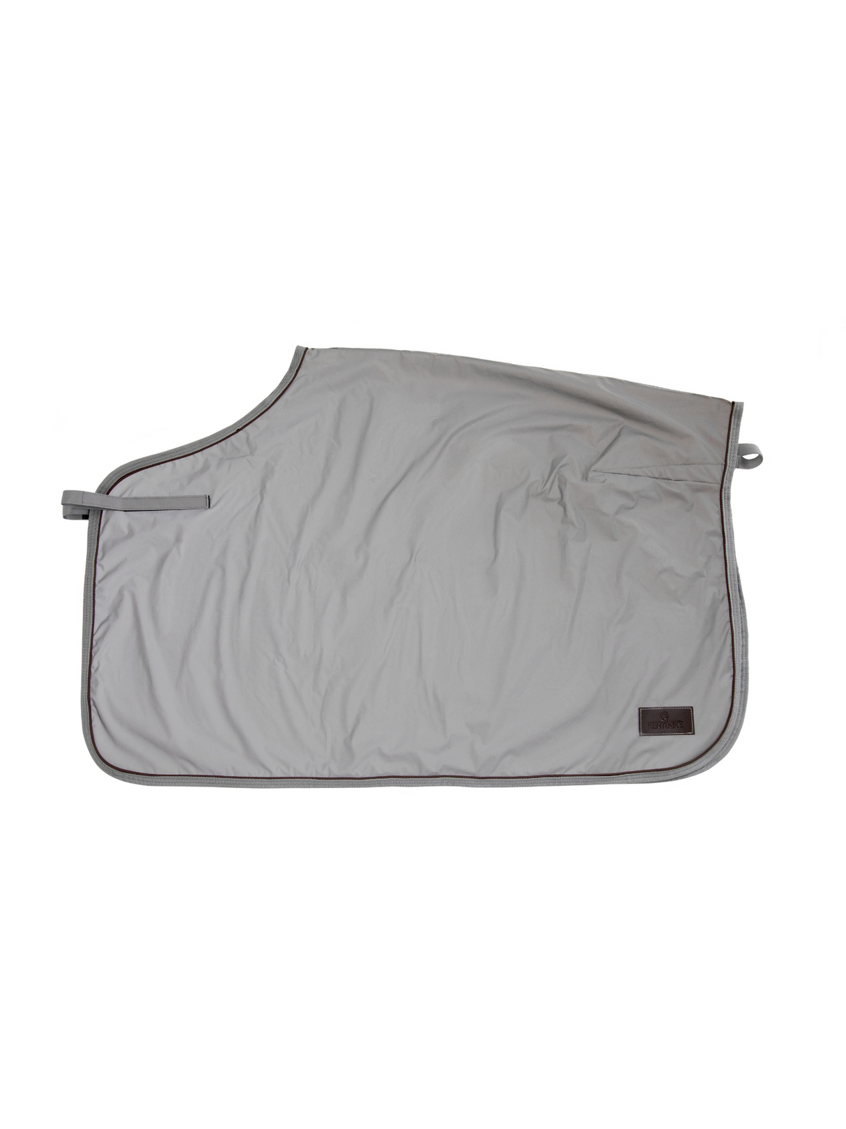 Kentucky Quarter Rug Reflective